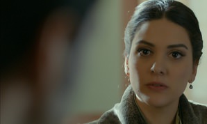 karadayi